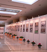 书画作品展板